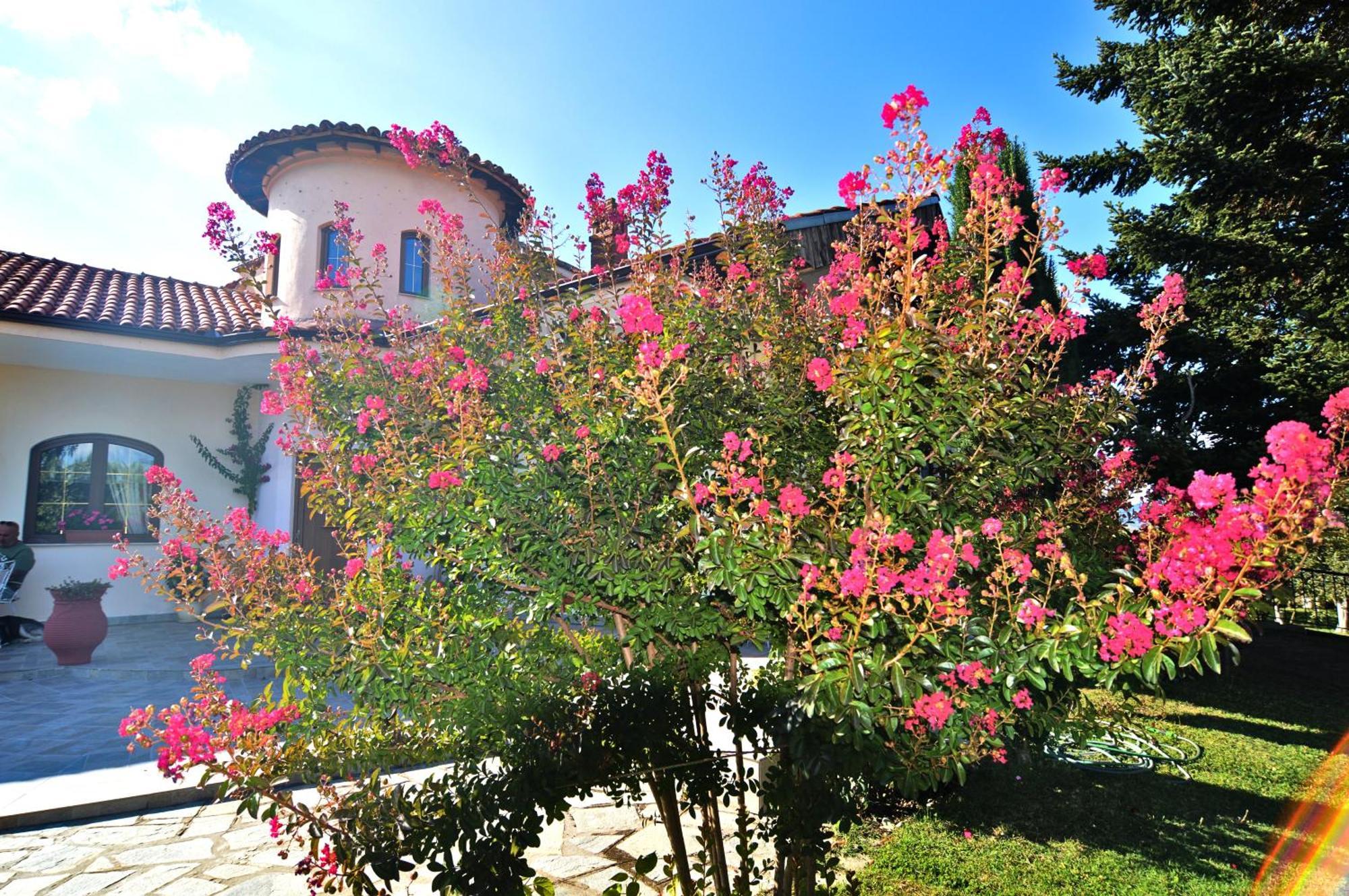 Villa Passion *