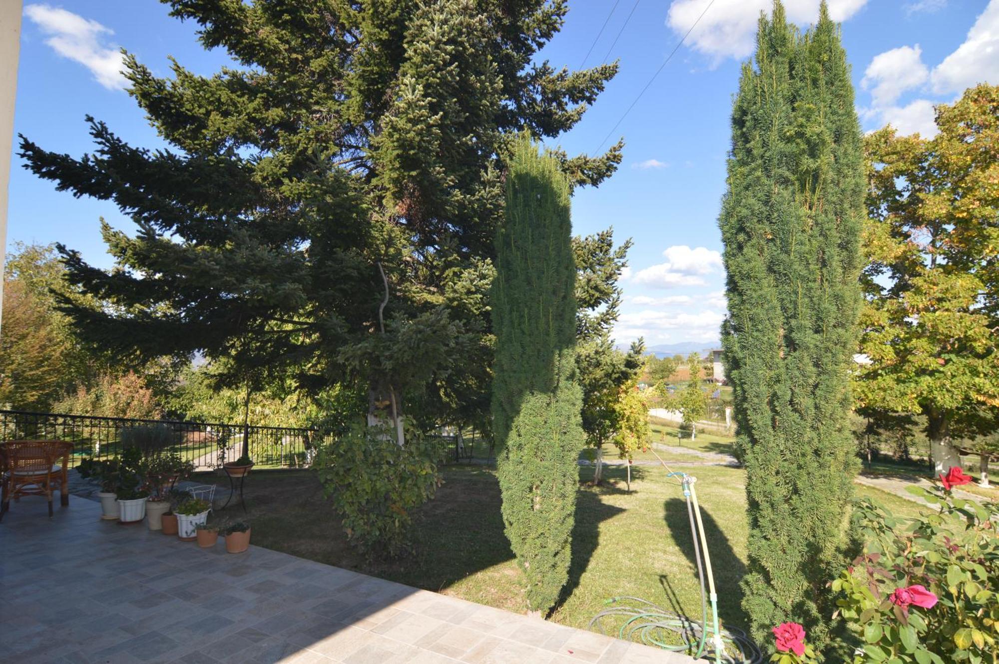 Villa Passion