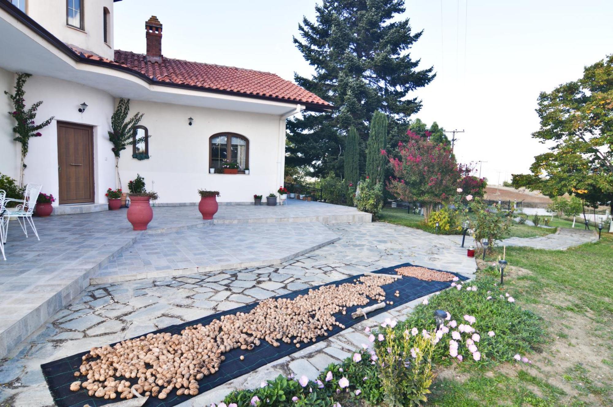 Villa Passion *